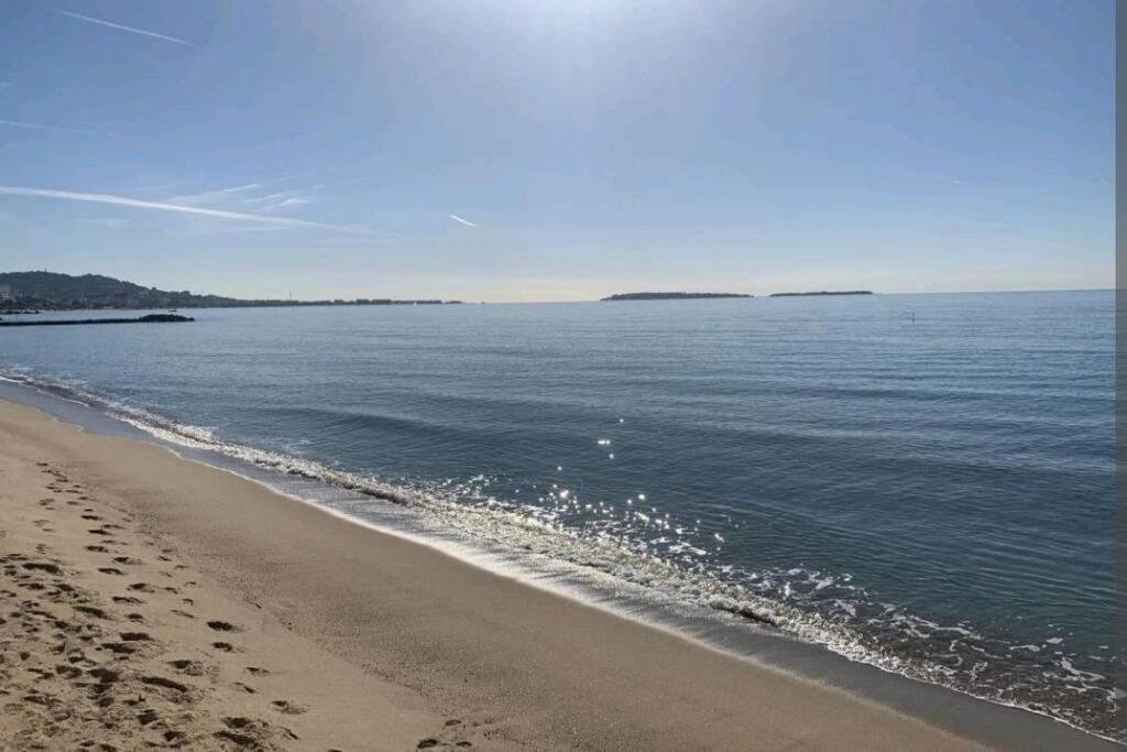 Appartement T2 Vue Panoramique C Cannes Eksteriør billede