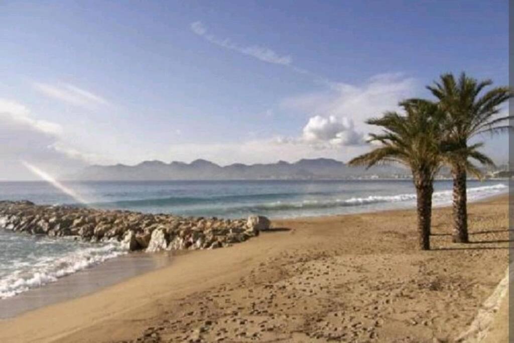 Appartement T2 Vue Panoramique C Cannes Eksteriør billede