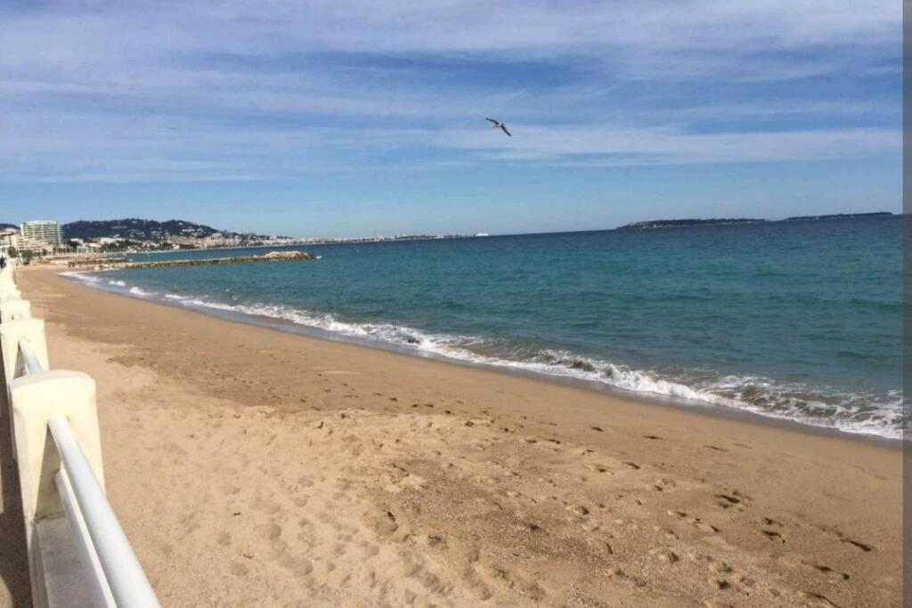 Appartement T2 Vue Panoramique C Cannes Eksteriør billede